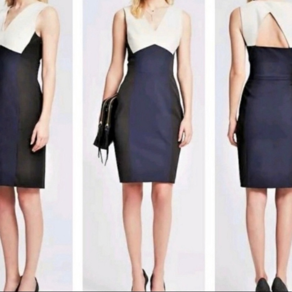Banana Republic Colorblock Dress